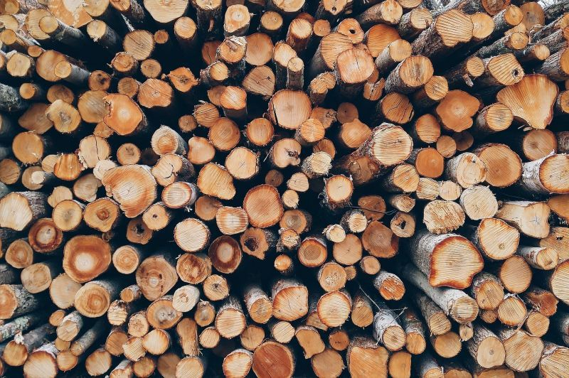 Община Сливен инициира дейности за подпомагане на хора с увреждания и предоставяне на дърва за огрев за зимния период 2023-2024 година.
Определените количества...